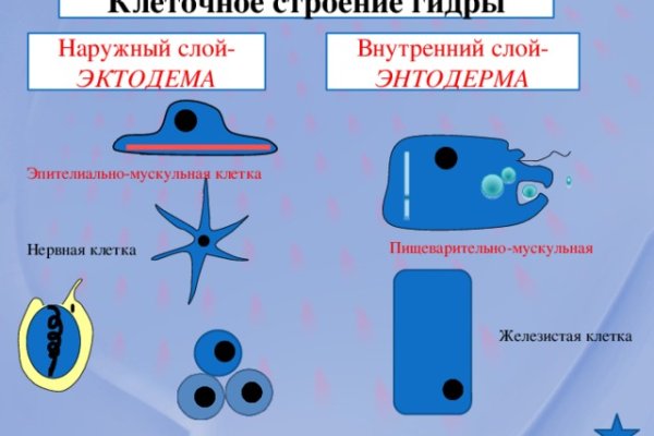 Как пополнить кошелек на кракене даркнет