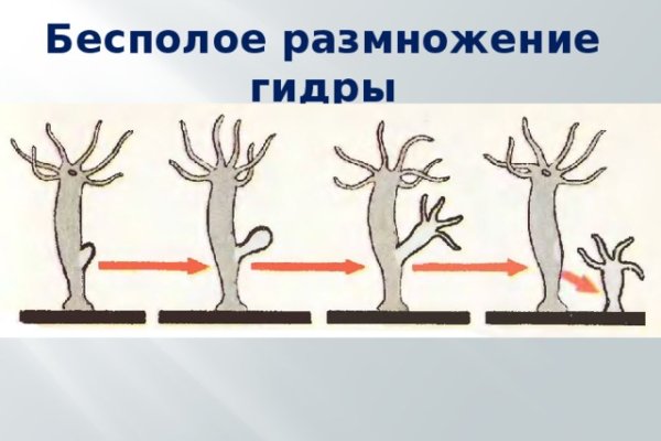Кракен сайт это