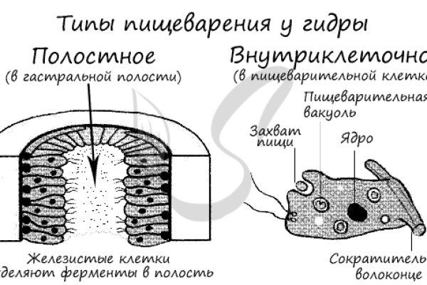 Зеркало на кракен