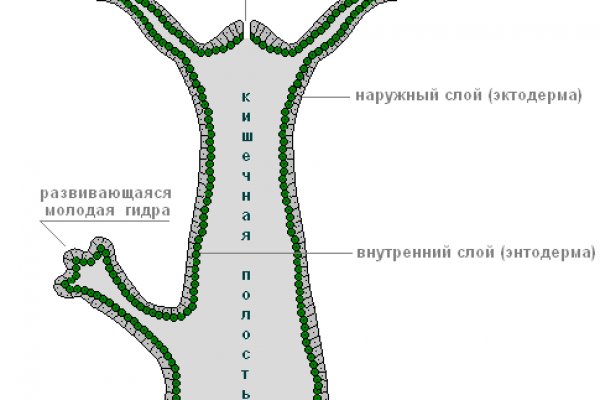 Кракен маркетплейс что это