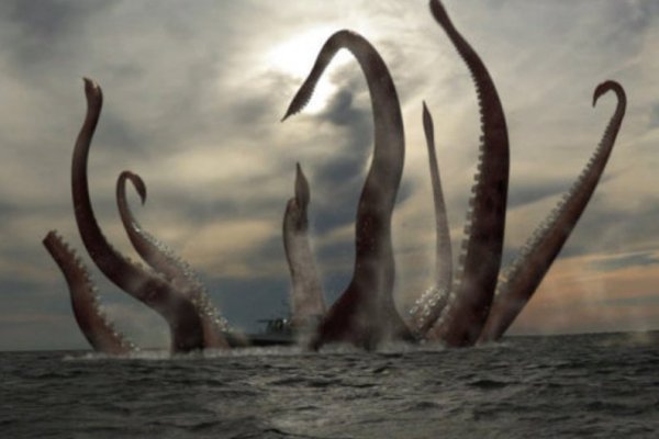 Kraken что это за магазин