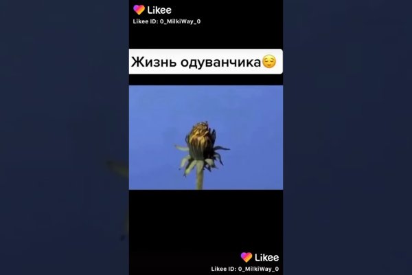 Кракен даркнет только через торг
