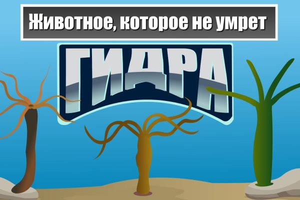 Кракен ссылка официальная