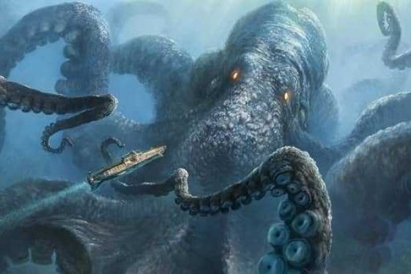 Kraken link