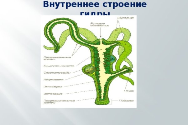 Ссылки на кракен at