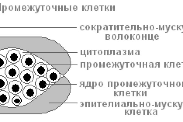 Кракен наркота что это