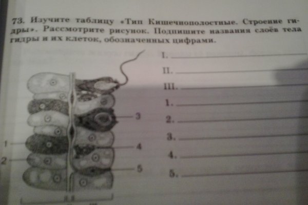 Кракен макет даркнет