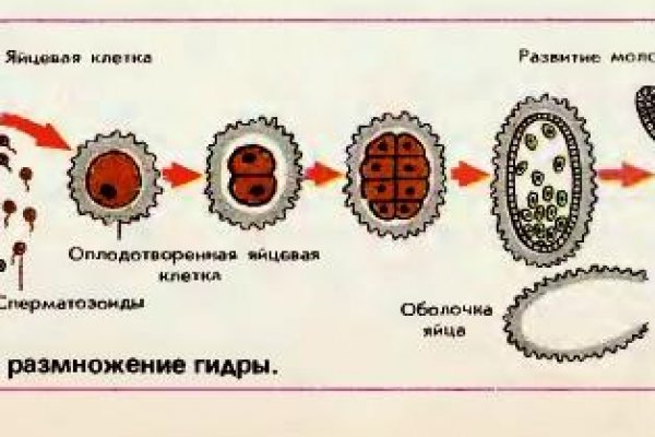 Kraken ссылка tor официальный сайт