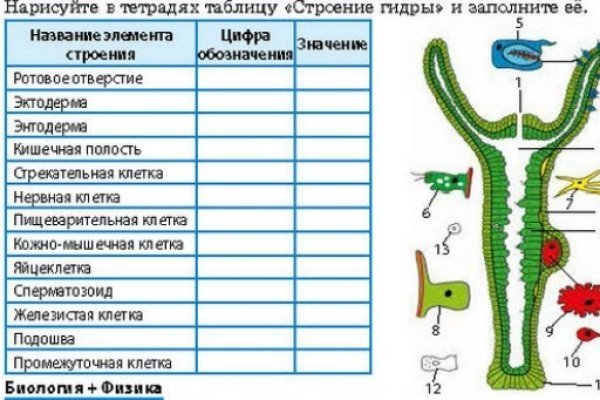 Кракен ссылка gigageek ru