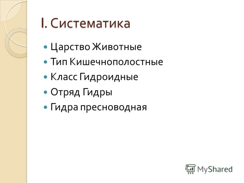 Что за маркетплейс кракен